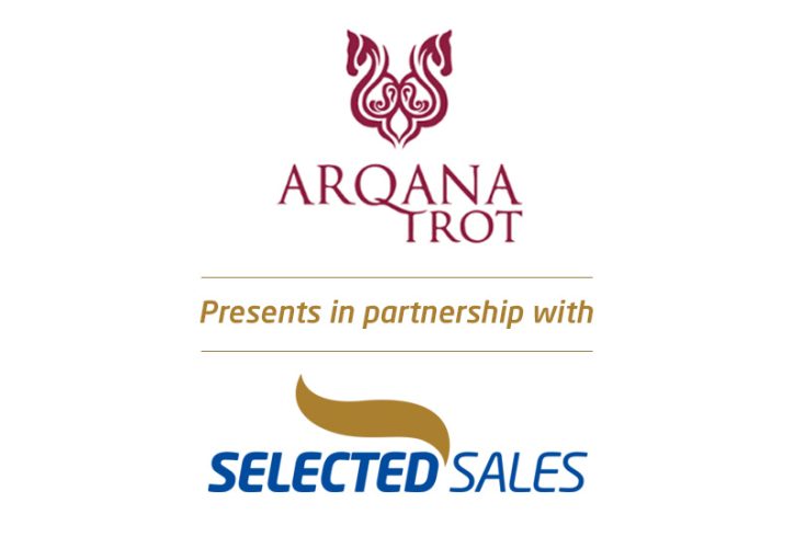 Select European Yearling Sale: the catalogue is online!